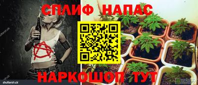 гидра Краснодар