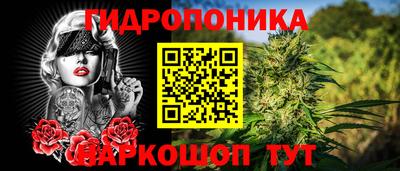 гидра Краснодар