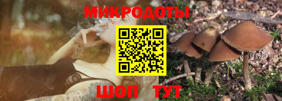 Галлюциногенные грибы мицелий  Псилоцибиновые грибы GOLDEN TEACHER  Южно-Сахалинск  Вход с VPN 